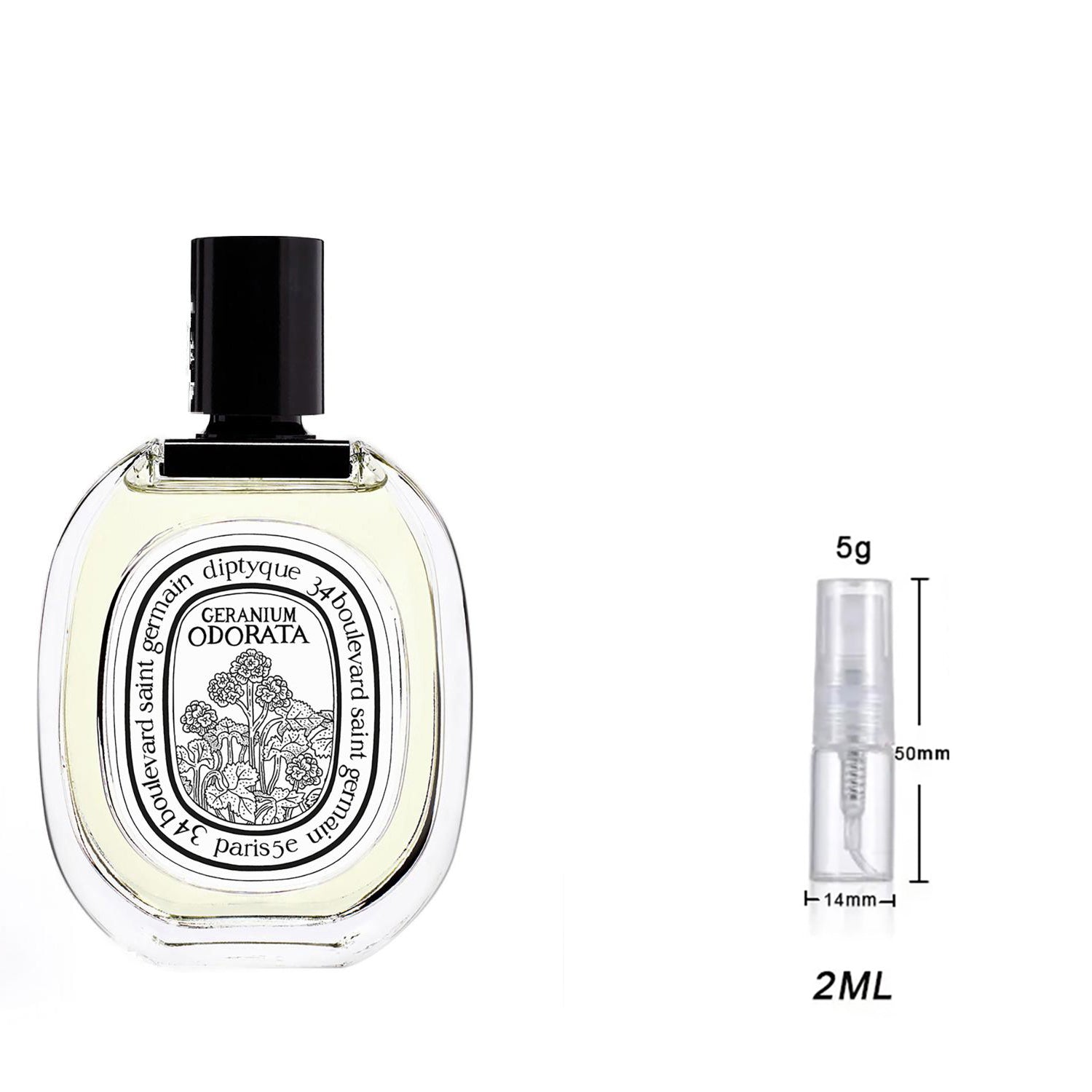 Diptyque_Geranium_Odorata_Eau_de_Toilette_Unisex_2ml.jpg